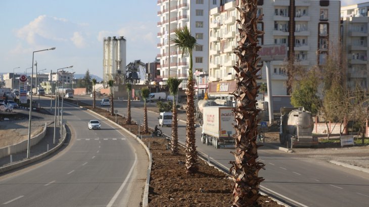 Yeşillendirme Çalışmalarımız Devam Ediyor.