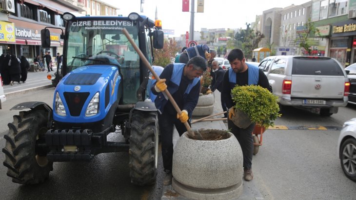 Ekiplerimiz Orta Refüjleri Yeşillendiriyor