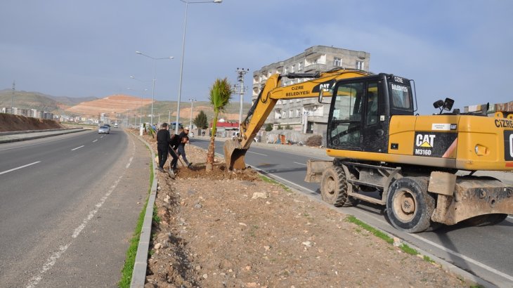 Yeşillendirme Çalışmalarımız Aralıksız Devam Ediyor