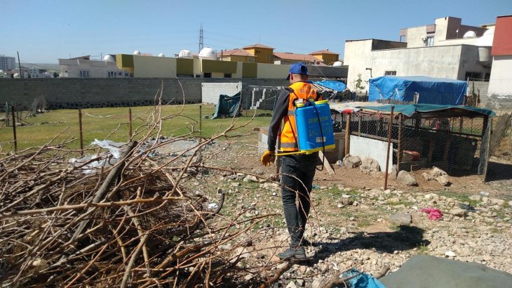 Daha Temiz ve Daha Sağlıklı Bir Cizre İçin Çalışıyoruz